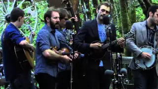 Pickathon 2010: 2+2=5 (Radiohead Cover) - Punch Brothers