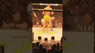 ufc. Алекс Перейра.