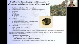 The Egos, The Ecology and The Economics of Truffle Culture by Stephanie Jarvis