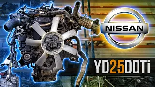 Nissan YD25DDTi Контрактный двигатель