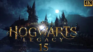 Hogwarts Legacy Gameplay Deutsch 15 - Rettung von Tierwesen