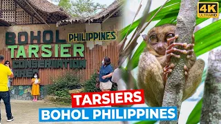 Tarsier Sanctuary in Bohol Philippines