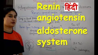 Renin angiotensin aldosterone system in Hindi | angiotensin work | functions | Role in B.P.