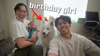 Celebrating My Samoyed's First Birthday