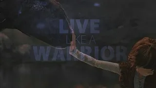 Live like A warrior - HTTYD - (AMV)