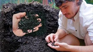 My attempt at Turning Woodchip into Compost in 21 Days