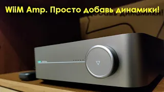 WiiM Amp. Просто добавь динамики!