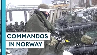 How Royal Marines Commandos move around the Arctic