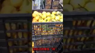 Не покупайте китайские мандарины
