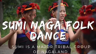 Sumi Naga Folk Dance from Nagaland. Beautiful Naga tribal dance,  #Naga_traditional_Dance, #SemaNaga