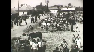 Berettyóújfalu Vásár archív felvételen / local history /