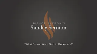 What Do You Want God to Do for You? – Bishop Barron's Sunday Sermon