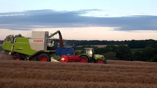 Combining at Glovers Farm With a Claas Lexion 630 Combine 12-08-21