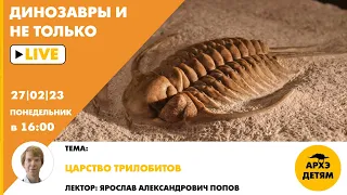 Занятие "Царство трилобитов" кружка "Динозавры и не только" с Ярославом Поповым