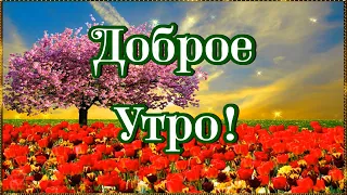 Доброго утра!  Хорошего дня! И пусть всё будет хорошо!💌🌺🌺🌺