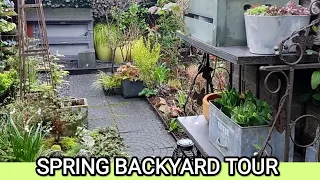 Spring Backyard Tour /Small Garden Ideas🪻🌿