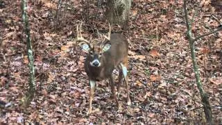 Paul Kitslaar Late October Wisconsin Whitetail Deer Hunt