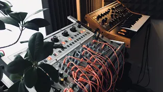 Moog Subsequent 25, Moog Slim Phatty, Dreadbox Nyx, Roland Gaia, Doepfer, Modal, MXR and Lukas Midub