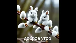 ⏰️🌝💖🌼 С ДОБРЫМ УТРОМ, НОВОГО ДНЯ. ....