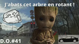 Dashcam GR #41 Je terrasse un arbre d'un simple rot 🤣 - Daily Observation