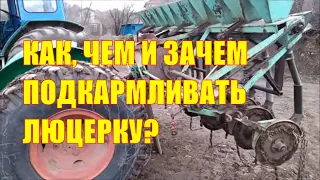 Как, чем и зачем подкармливать люцерну? Селитра и амофос