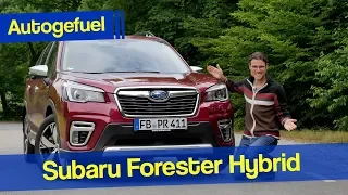 2020 Subaru Forester eBoxer 2.0ie REVIEW - Autogefuel