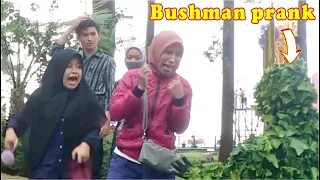 Bushman prank in action || Naughty and Hilarious