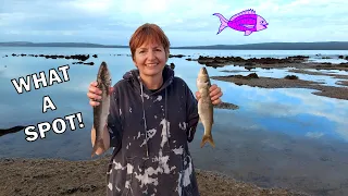 Easy fishing Venus Bay North West (Witera) Eyre Peninsula South Australia