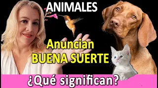 11 Animales que ANUNCIAN la BUENA SUERTE y su SIGNIFICADO