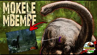 MOKELE MBEMBE EL MONSTRUO DEL CONGO / Criptozoologia Oxlack