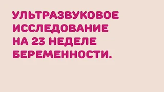 УЗИ на 23 неделе беременности