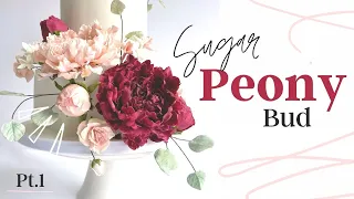 Sugar Peony Flower Tutorial // Making a Peony Bud // With Finespun Cakes