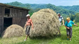 Hard Life in a mountain village of the Carpathians. The family prepares hay for the winter