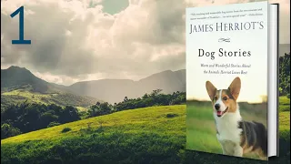 Part 1 of 3 Dog Stories Audiobook by James Herriot