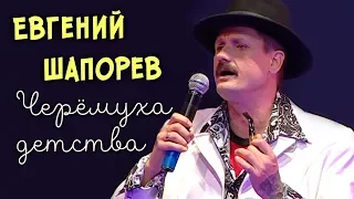 Евгений Шапорев - Черёмуха детства (Видео)