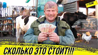 Сколько мы платим за пастбище. За сколько сдаём молоко. Выгнали телят на улицу. Жизнь в деревне.