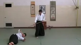 Traditional aikido YONDAN level JO WAZA techniques