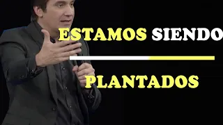 ESTAMOS SIENDO PLANTADOS - Dante Gebel | Motivación - Inspiración Cristiana |