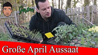 Große Gemüse- Aussaat April 💚Das kannst du alles säen.