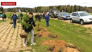 На Поле Памяти у д. Красный Холм вязьмичи высадили аллею  в память о Героях СВО