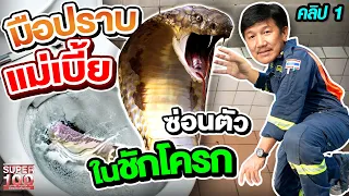 คลิป 1 | จ่าโย มือปราบงูในชักโครก !! ระวังให้ดีก่อนเข้าห้องน้ำทุกครั้ง | SUPER100