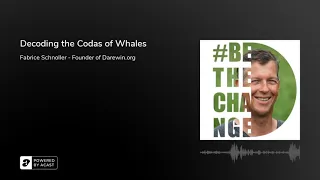 Decoding the Codas of Whales