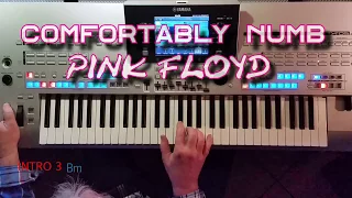 Comfortably Numb - Pink Floyd, Cover mit titelbezogenem Style auf Tyros 4