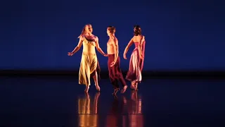 55 years of revolutionary modern dance