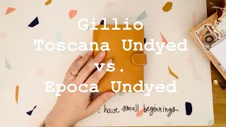 Setup | Gillio Compagna Pocket XL Toscana Undyed as a Wallet | Comparison Epoca & VDS JL