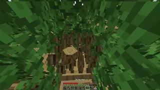 Daily Minecraft 24 - Bamboo and Wood