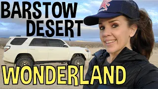 #691 Barstow Desert Wonderland: In Search of Strange and Unusual Stuff in the Mojave Desert