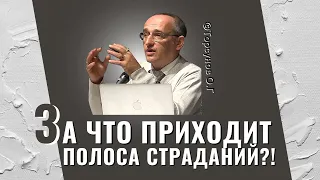 За что приходит полоса страданий, и как выйти на полосу счастья? Торсунов лекции