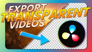 How to Export Transparent Video - DaVinci Resolve Tutorial