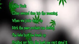 Snoop Lion - Smoke The Weed ft  Collie Buddz (Lyrics)